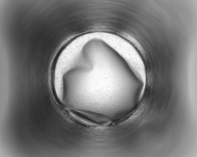 X0000096451043200802141508