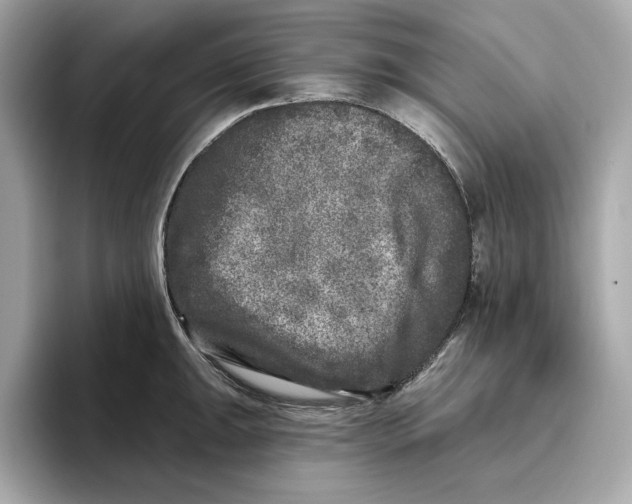 X0000096451047200802141508