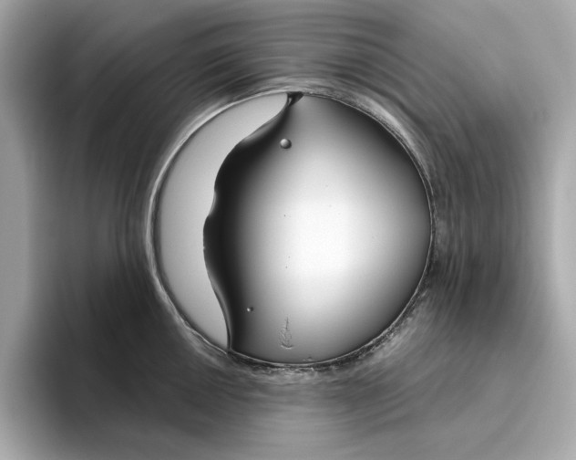 X0000096451050200802141508