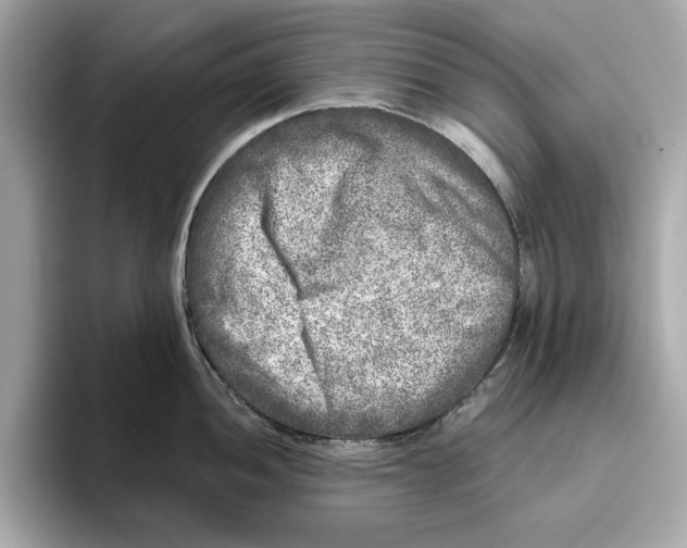 X0000096451052200802141508