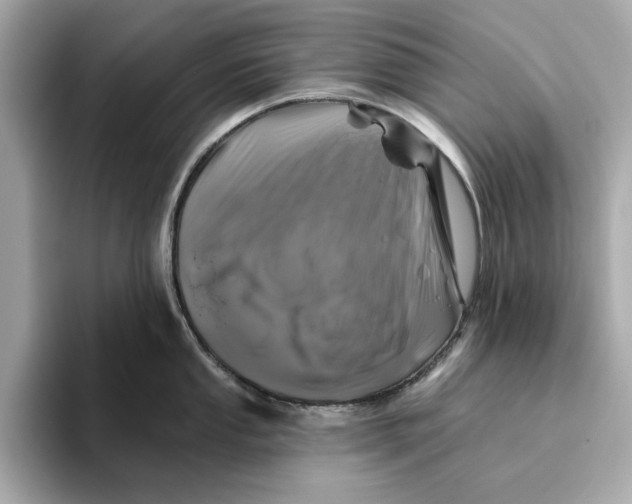 X0000096451053200802141508