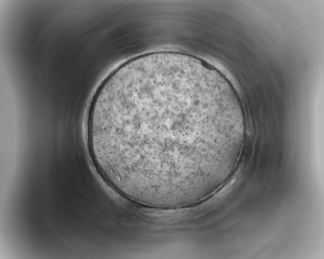 X0000096451054200802141508