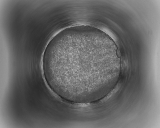 X0000096451055200802141508