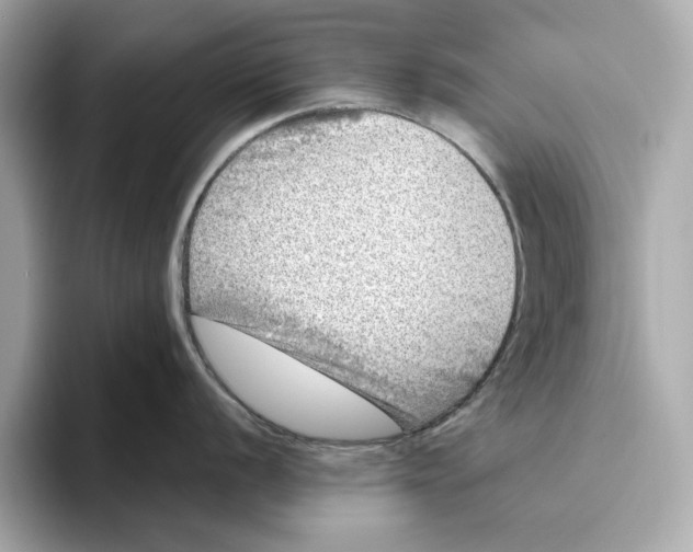 X0000096451056200802141508