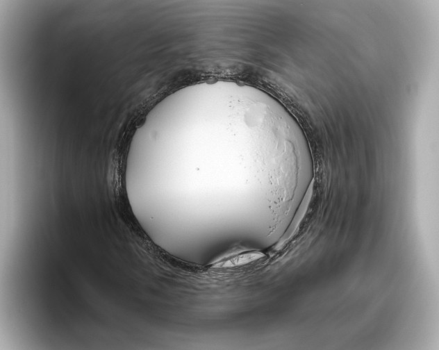 X0000096451058200802141508