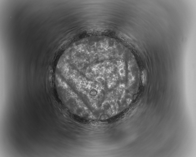 X0000096451059200802141508