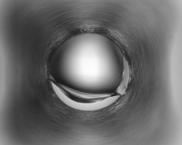 X0000096451060200802141508