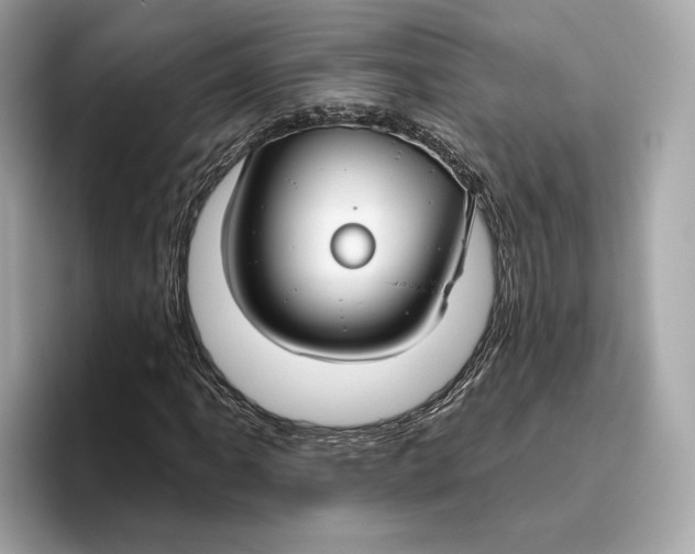 X0000096451061200802141508