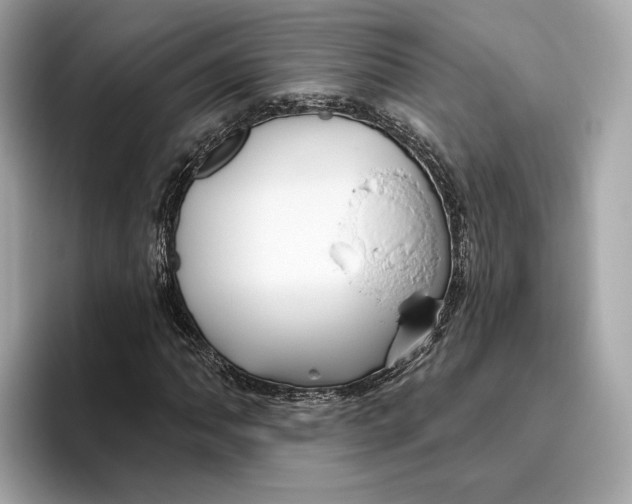 X0000096451062200802141508