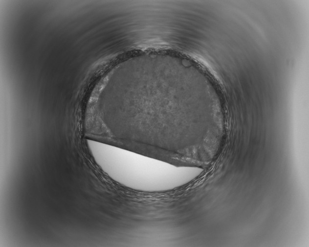 X0000096451063200802141508