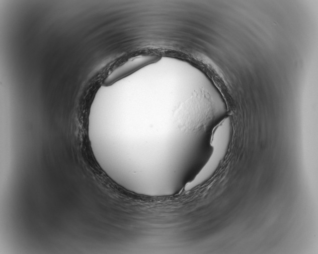 X0000096451064200802141507