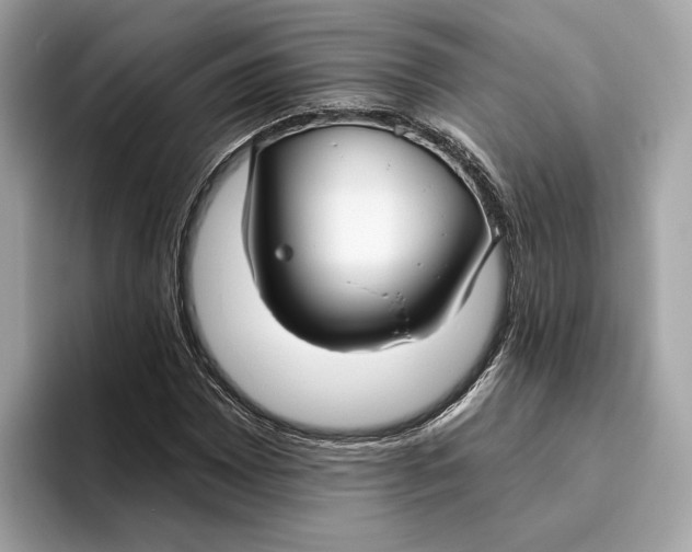 X0000096451065200802141507