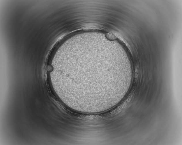 X0000096451067200802141507