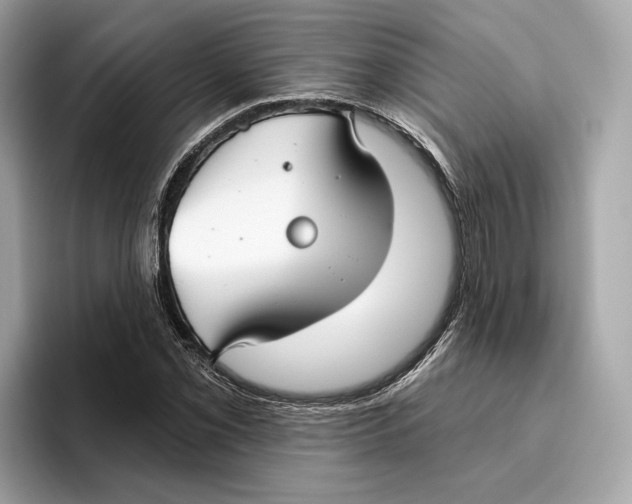 X0000096451069200802141507