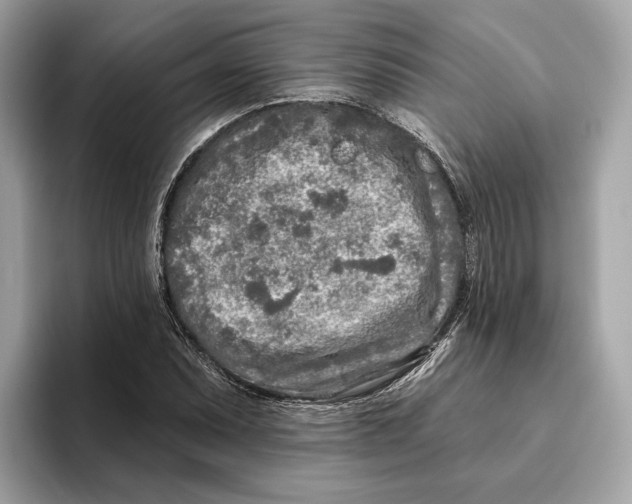 X0000096451071200802141507