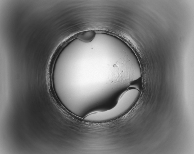 X0000096451072200802141507