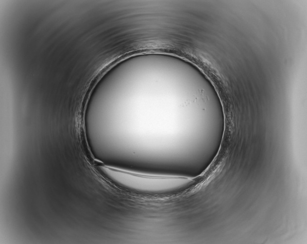 X0000096451073200802141507