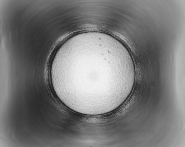 X0000096451074200802141507