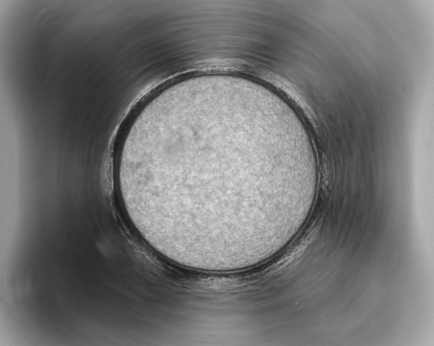 X0000096451075200802141507