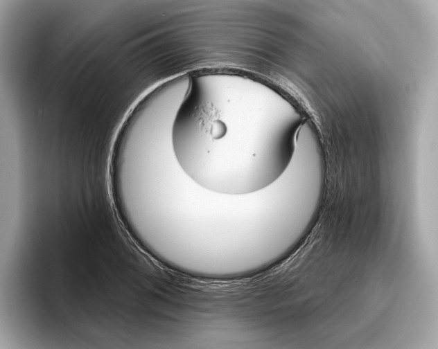 X0000096451076200802141507