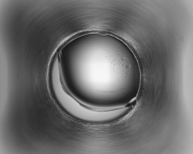 X0000096451077200802141507