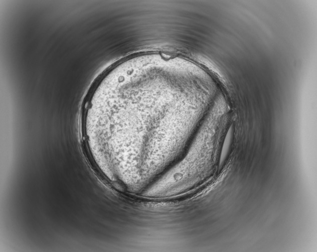 X0000096451079200802141507