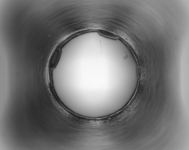 X0000096451080200802141507