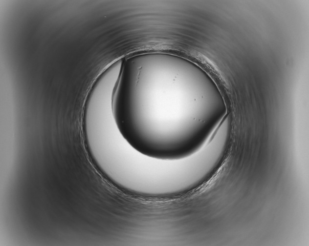 X0000096451081200802141507