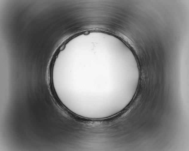 X0000096451082200802141507