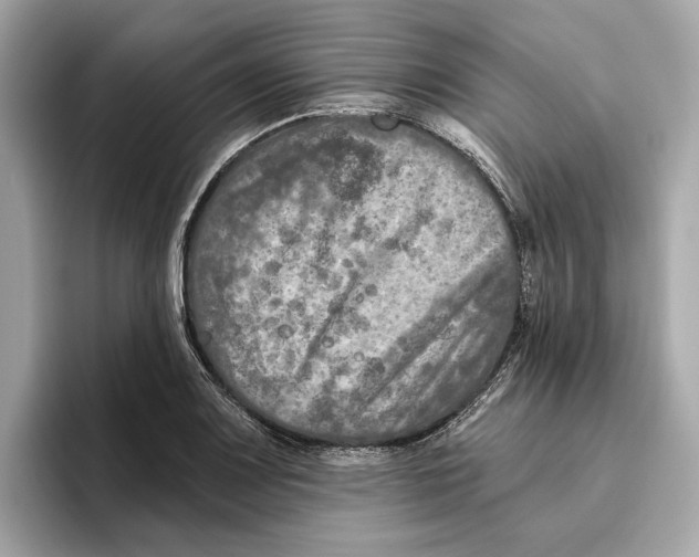 X0000096451083200802141507