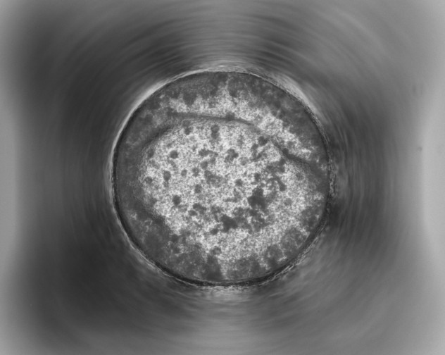 X0000096451087200802141507