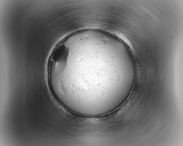 X0000096451088200802141507