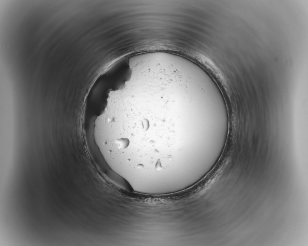 X0000096451089200802141507