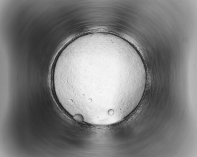 X0000096451090200802141507