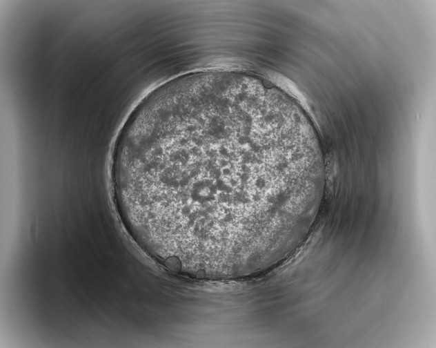 X0000096451091200802141507