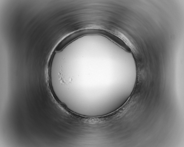 X0000096451092200802141507