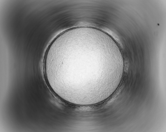 X0000096451094200802141507