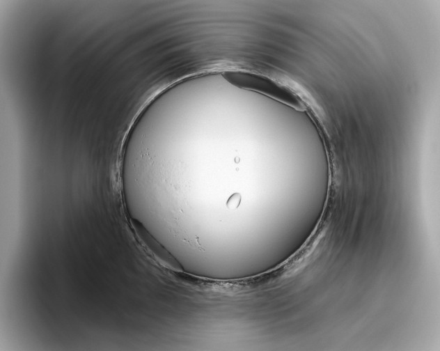 X0000096451097200802141507