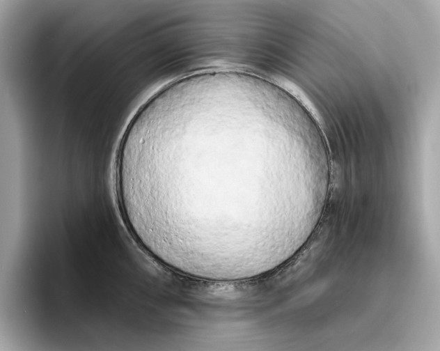 X0000096451098200802141507