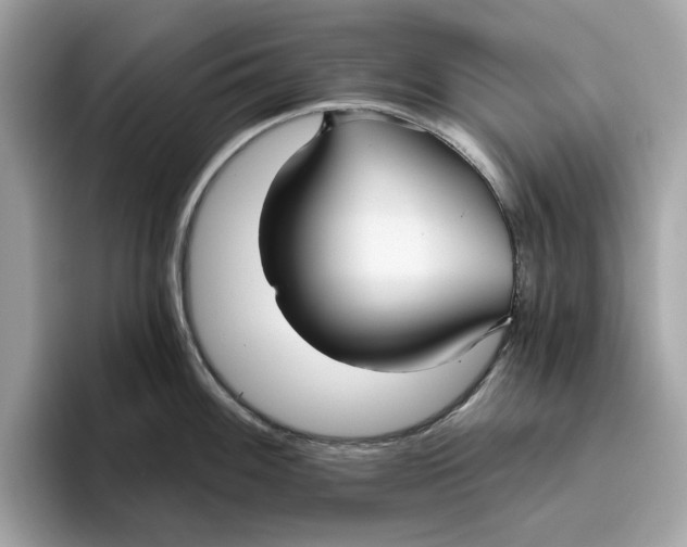 X0000096451100200802141507