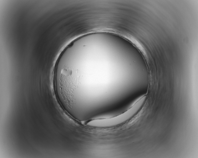 X0000096451102200802141507