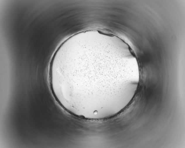 X0000096451103200802141507