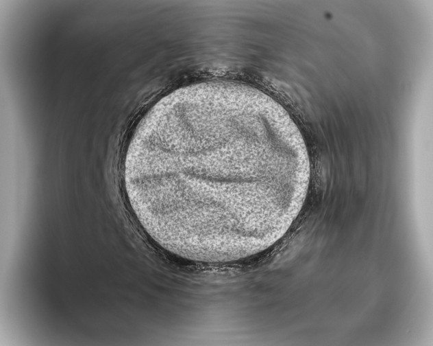 X0000096451105200802141506