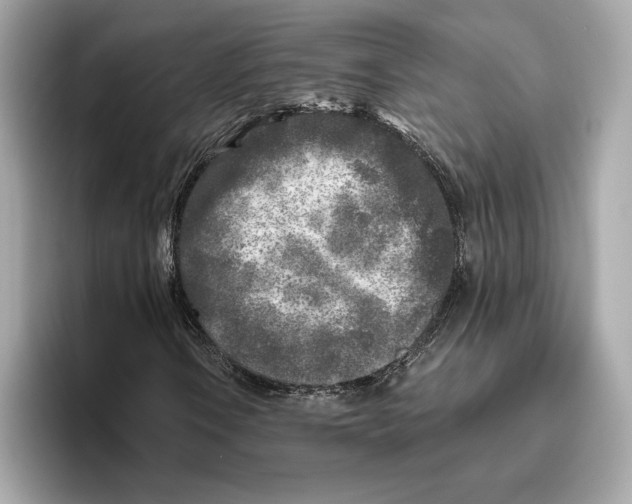 X0000096451106200802141506