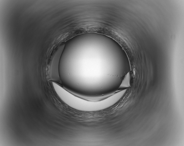 X0000096451108200802141506