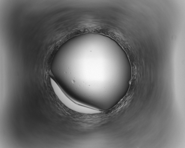 X0000096451109200802141506