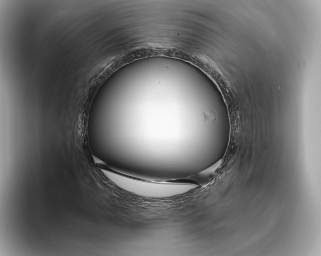 X0000096451110200802141506