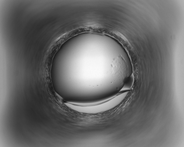 X0000096451112200802141506