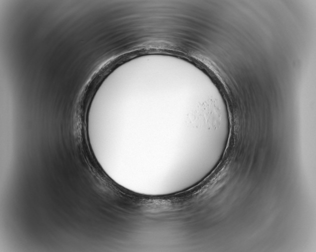 X0000096451115200802141506