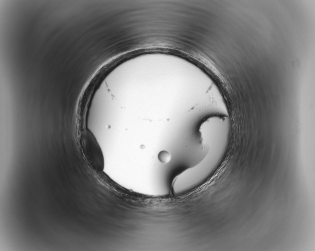 X0000096451116200802141506